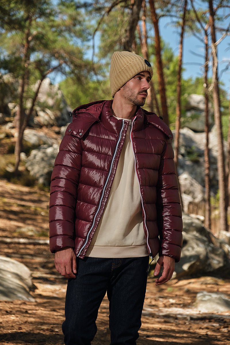 Doudoune Homme Hiver Brillante PRUNE avec Capuche et Zip Tricolore