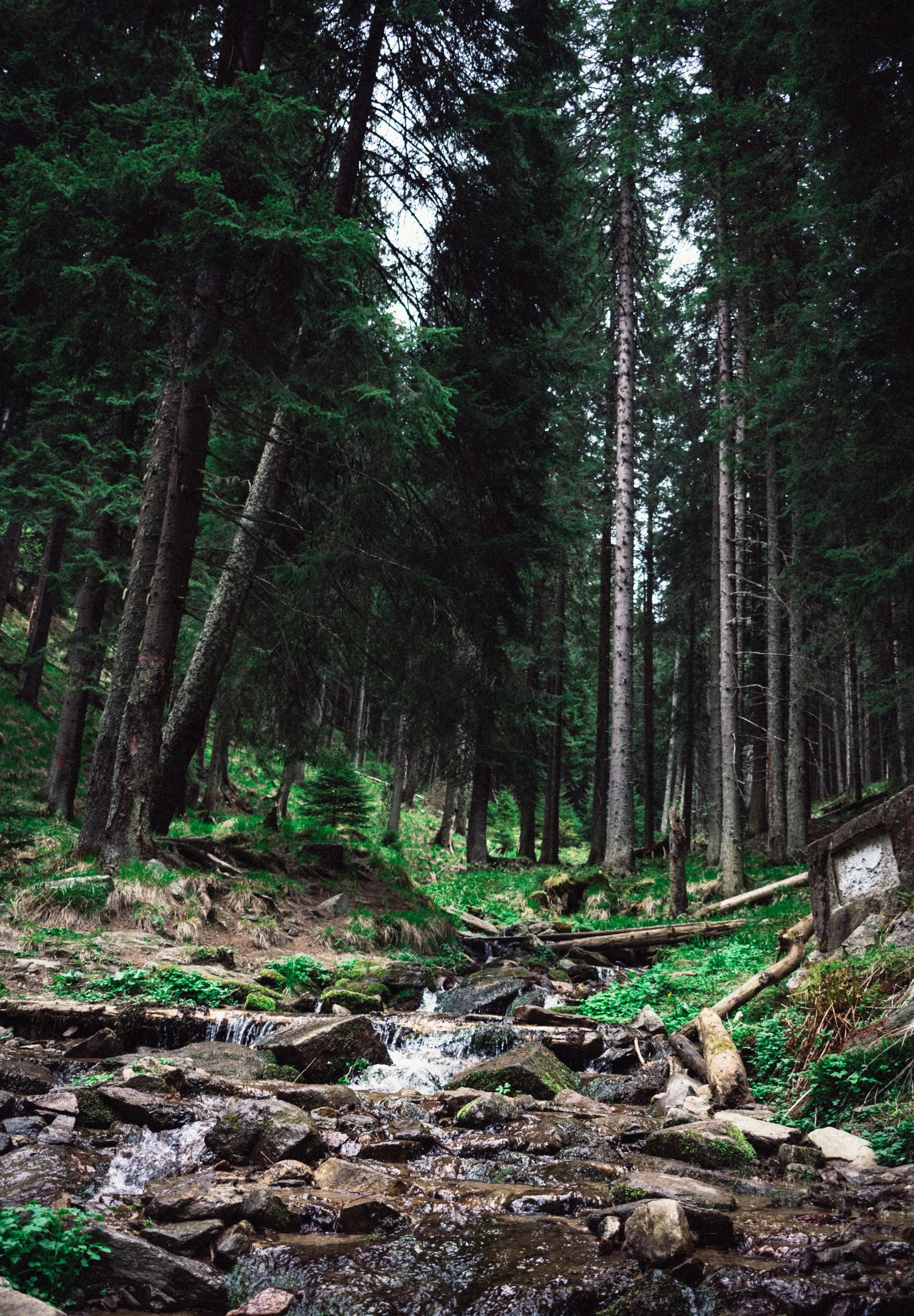nature_planete_kymaxx_eco-responsable.jpg